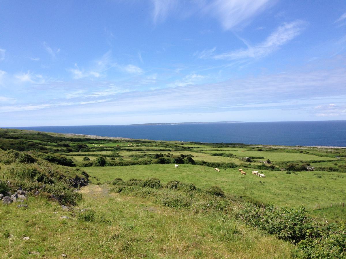 Wild Atlantic Breeze Guesthouse Doolin Zewnętrze zdjęcie